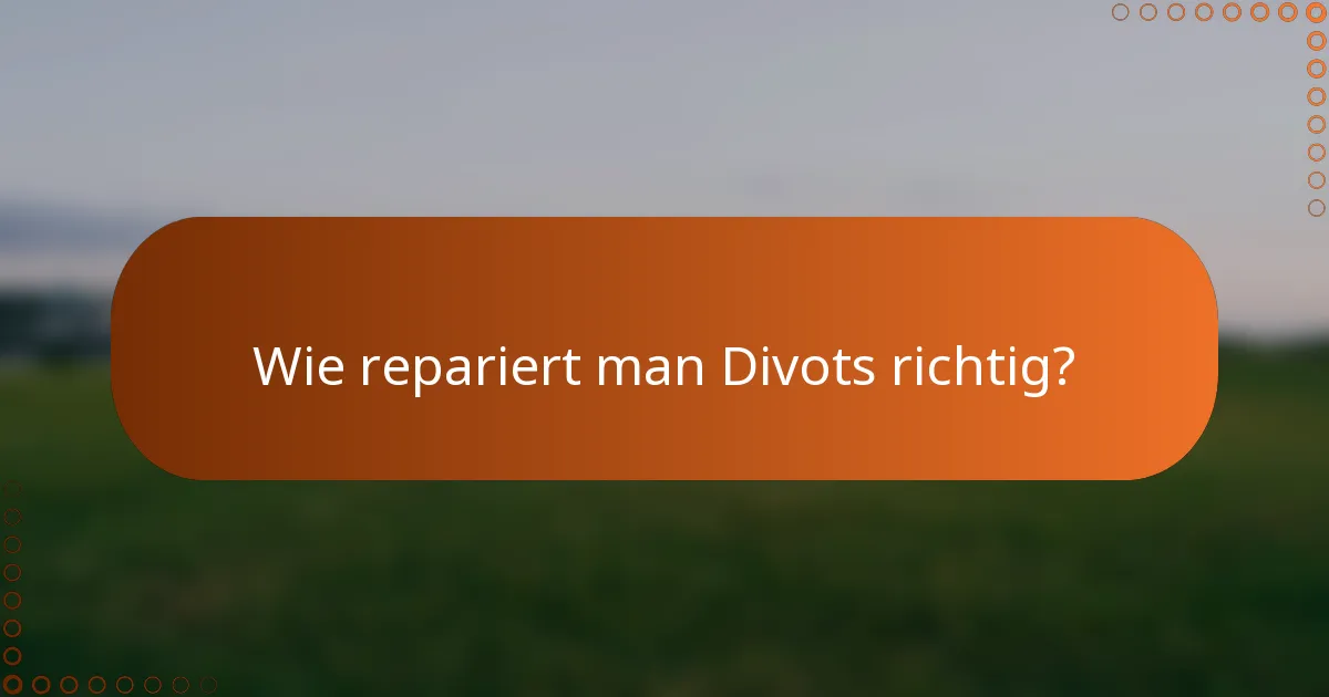 Wie repariert man Divots richtig?